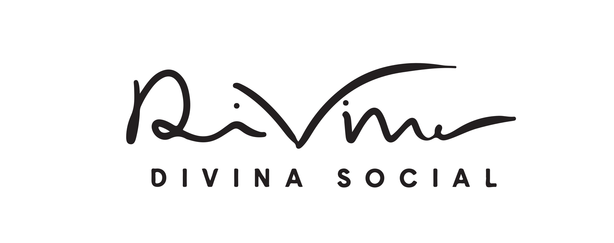 Divina Holding ERP Software
